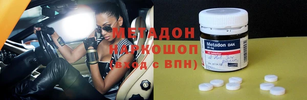 гашик Болотное