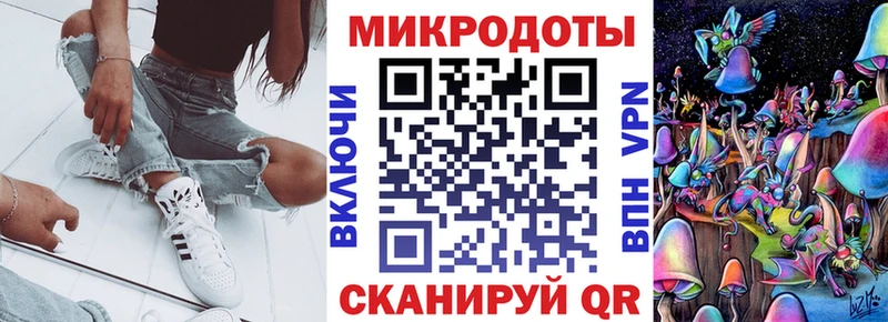 дарк нет официальный сайт Губкинский Галлюциногенные грибы мицелий