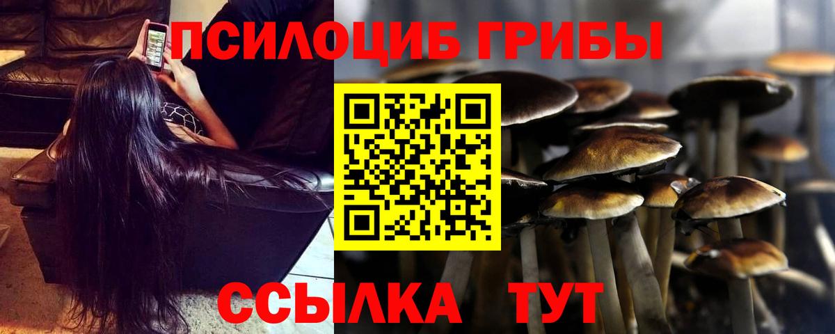 Галлюциногенные грибы ЛСД  Галлюциногенные грибы Psilocybine cubensis  Губкинский 