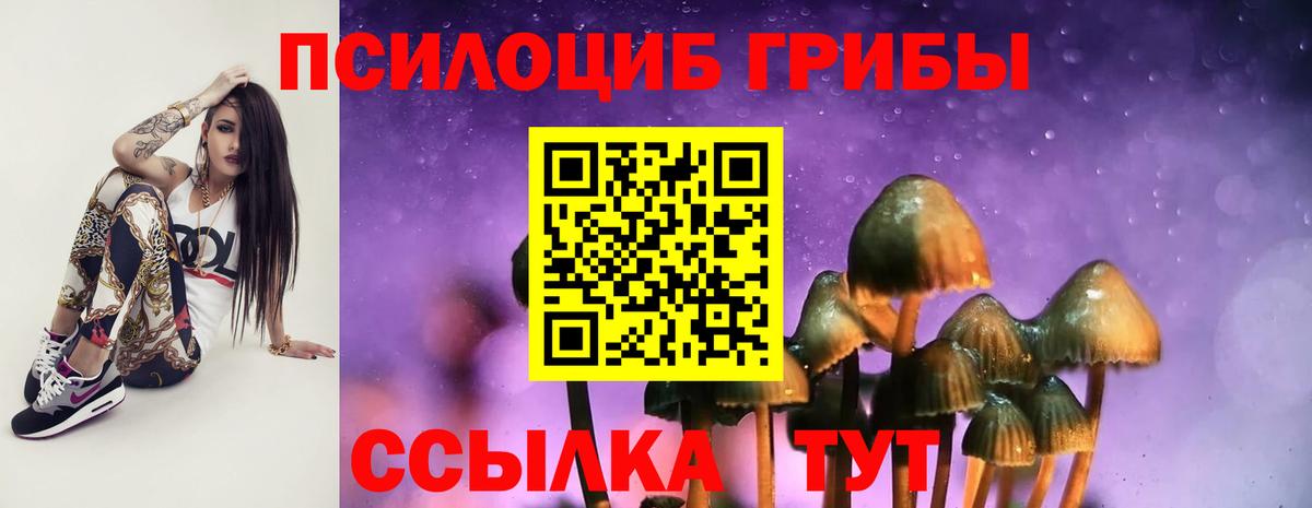 Галлюциногенные грибы ЛСД Губкинский