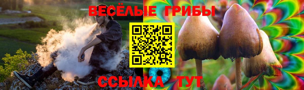 Губкинский  Псилоцибиновые грибы мицелий  наркошоп  Вход с VPN 